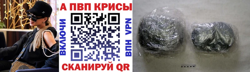 A-PVP СК  Печора 