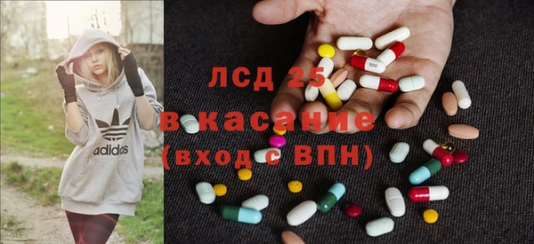 стаф Баксан