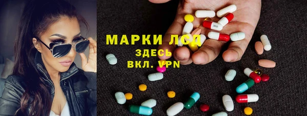 стаф Баксан
