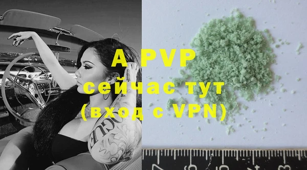 стаф Баксан