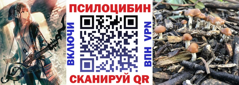 Галлюциногенные грибы Psilocybine cubensis  сайты даркнета телеграм  Печора 
