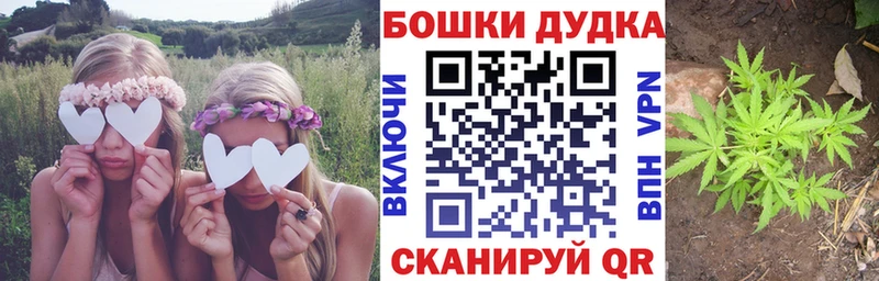 Каннабис планчик  Печора 